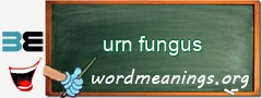 WordMeaning blackboard for urn fungus